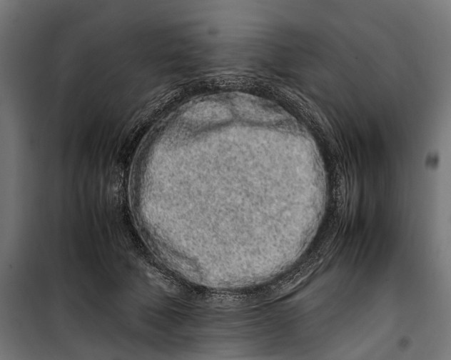 X0000099940610200806201122