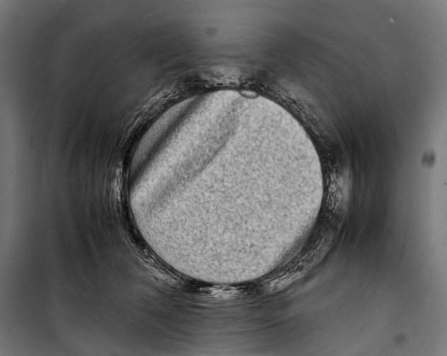 X0000099940612200806201122