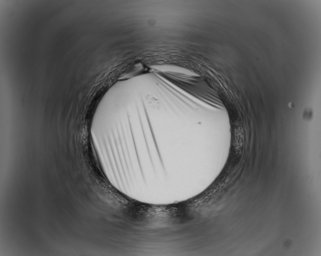 X0000099940613200806201122