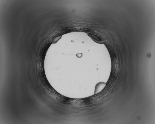X0000099940615200806201122