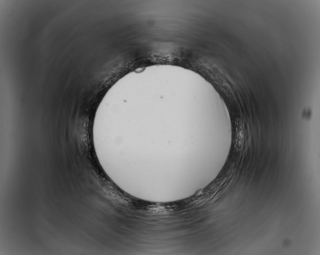 X0000099940616200806201122