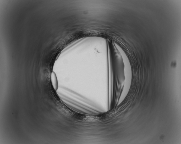 X0000099940617200806201122