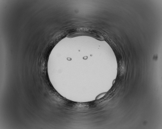 X0000099940619200806201122