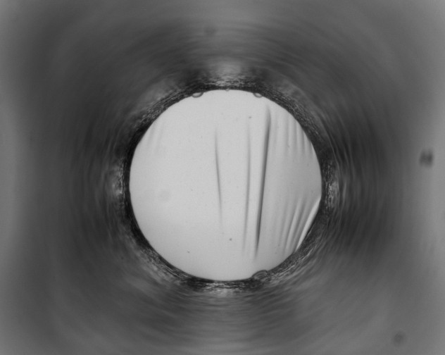 X0000099940620200806201122