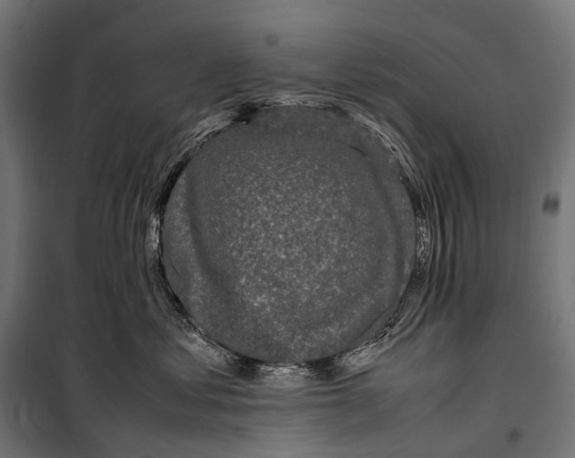 X0000099940621200806201122
