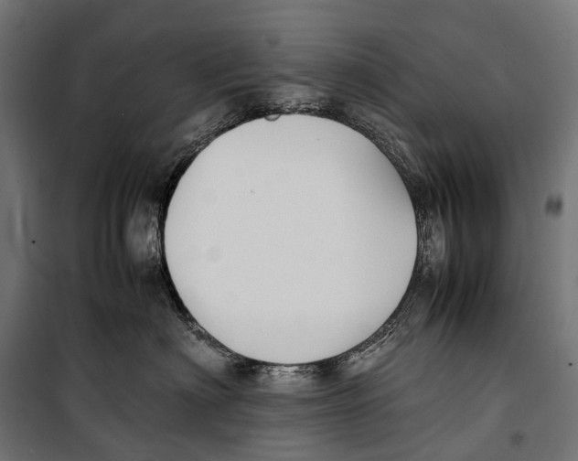 X0000099940622200806201122