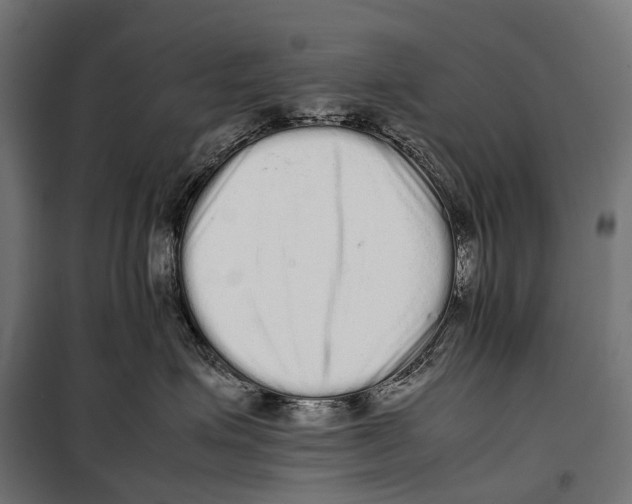 X0000099940623200806201122