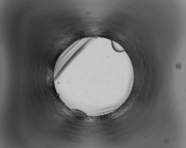 X0000099940624200806201122