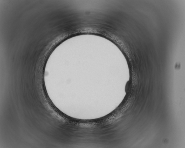 X0000099940625200806201121