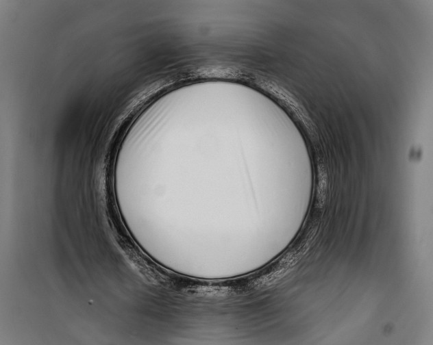 X0000099940626200806201121