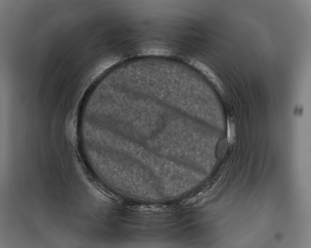X0000099940627200806201121