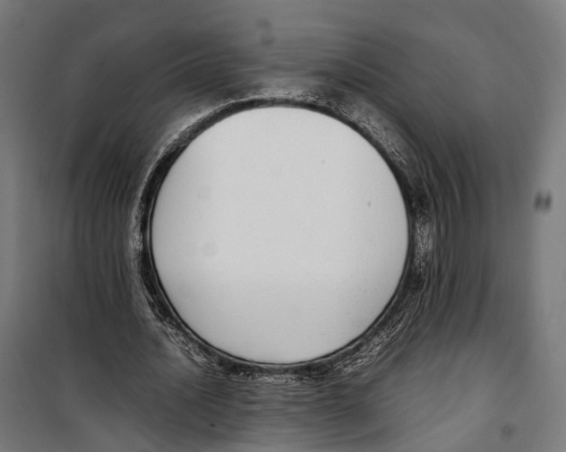 X0000099940628200806201121
