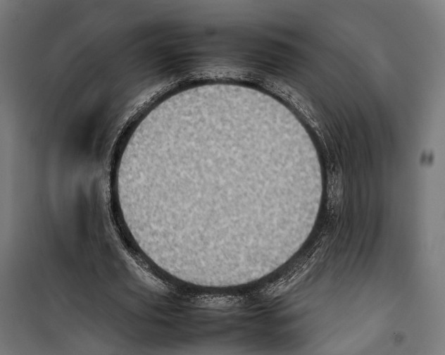 X0000099940629200806201121