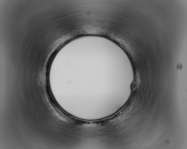 X0000099940630200806201121