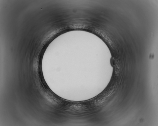X0000099940631200806201121