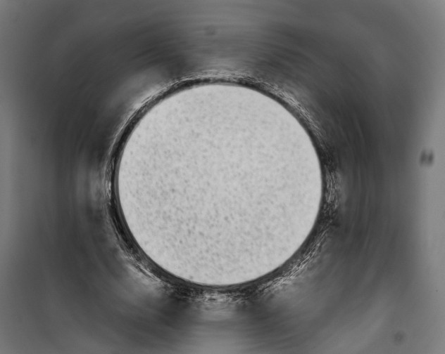 X0000099940632200806201121