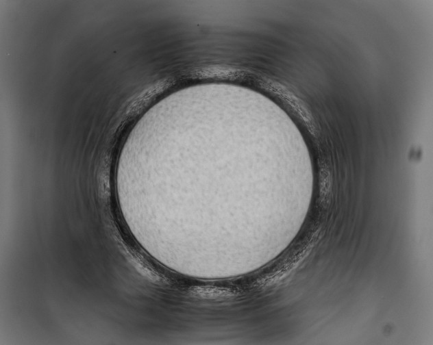 X0000099940633200806201121