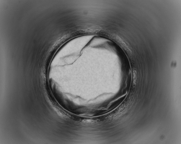 X0000099940634200806201121