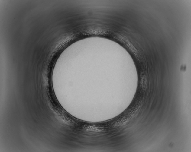 X0000099940635200806201121