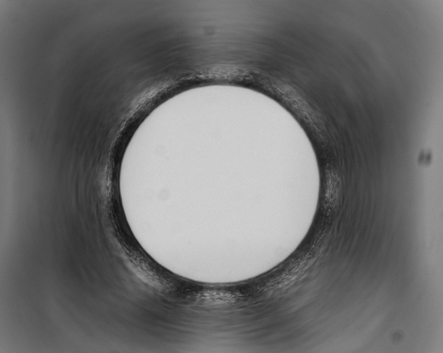 X0000099940636200806201121
