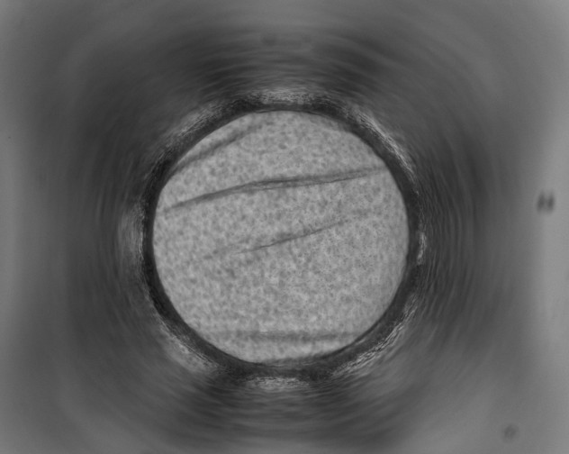 X0000099940637200806201121