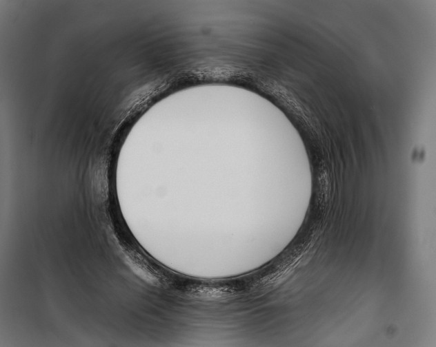 X0000099940638200806201121