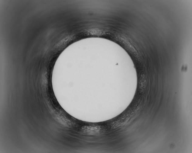 X0000099940639200806201121