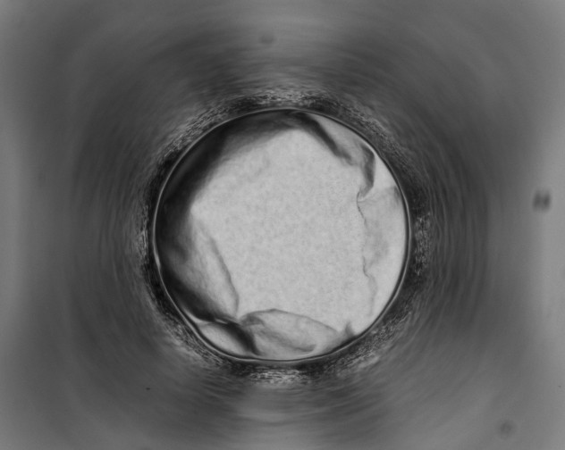X0000099940642200806201121