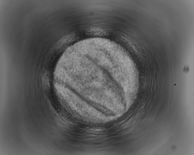 X0000099940643200806201121