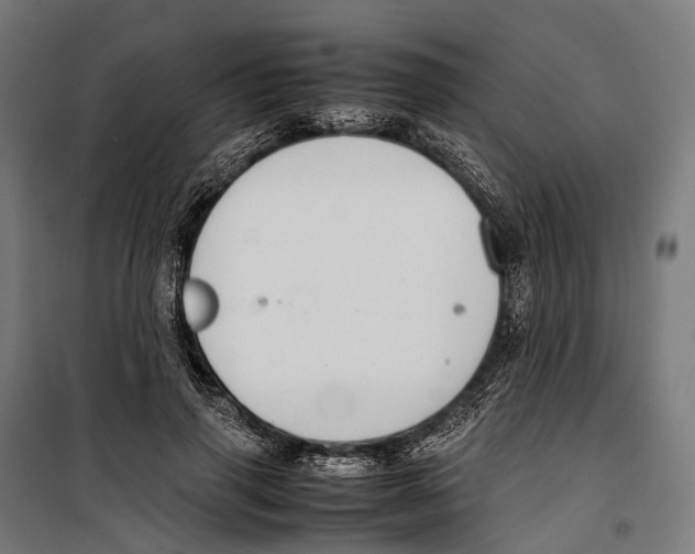 X0000099940645200806201121