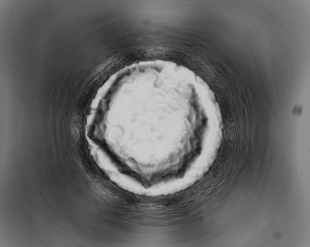 X0000099940648200806201121
