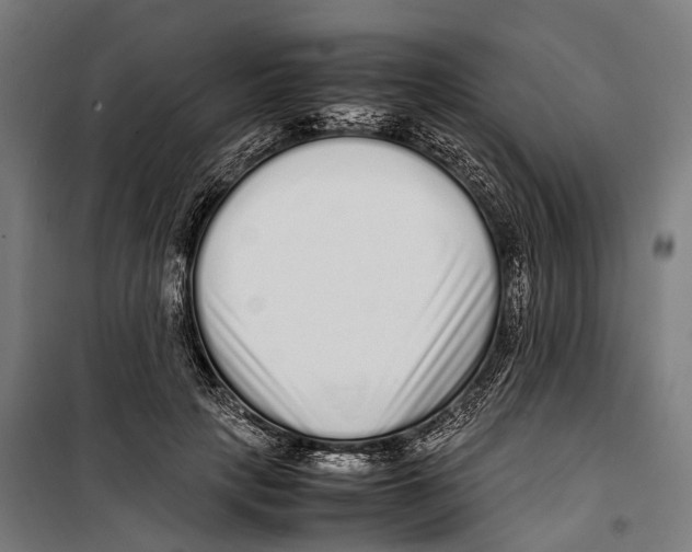 X0000099940649200806201121