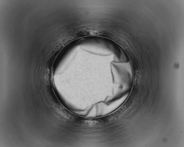 X0000099940650200806201121