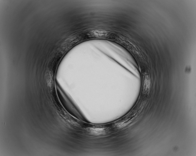 X0000099940651200806201121