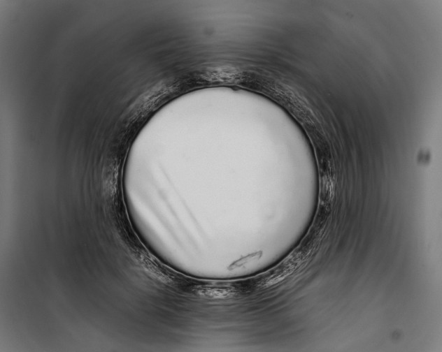 X0000099940652200806201121