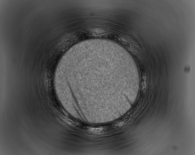 X0000099940653200806201121
