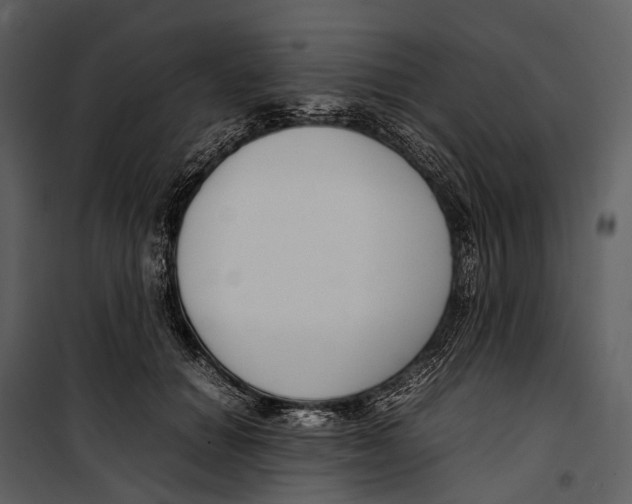 X0000099940654200806201121