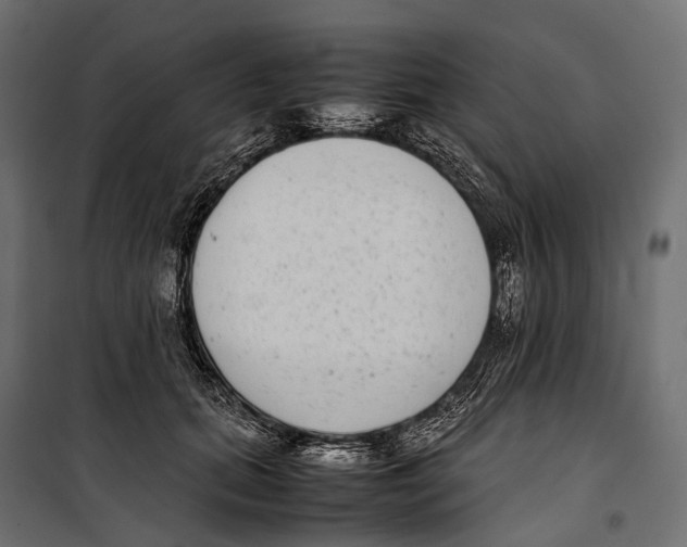 X0000099940655200806201121