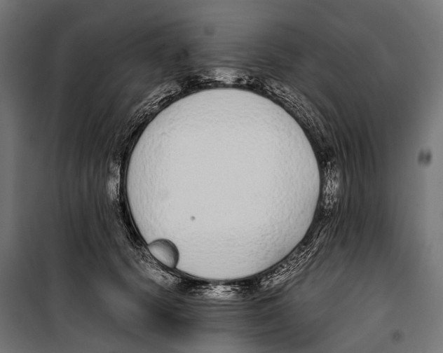 X0000099940656200806201121