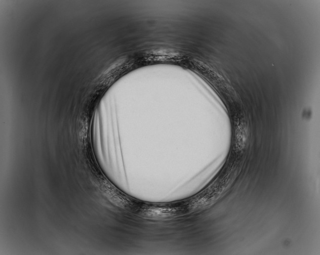 X0000099940657200806201121