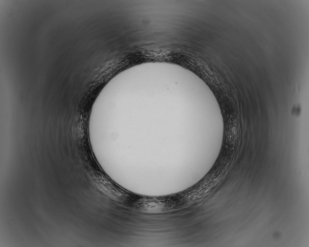 X0000099940658200806201121
