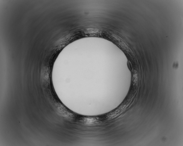 X0000099940662200806201122
