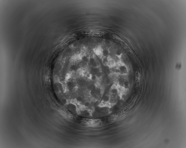 X0000099940663200806201122
