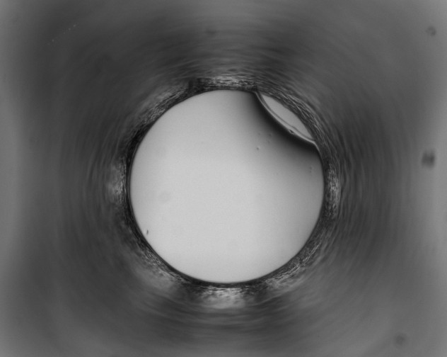 X0000099940665200806201122