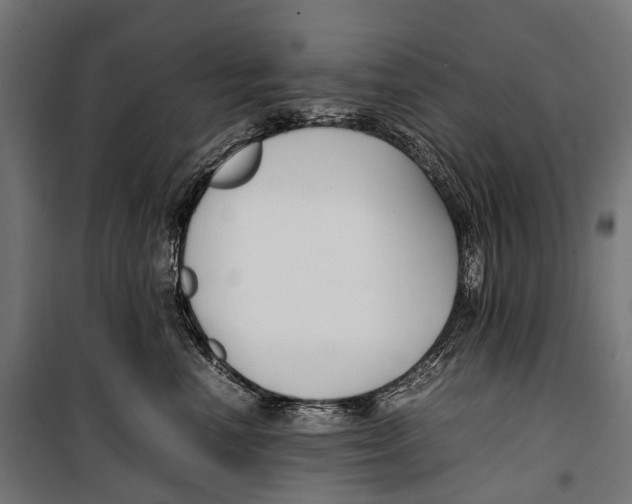 X0000099940666200806201122