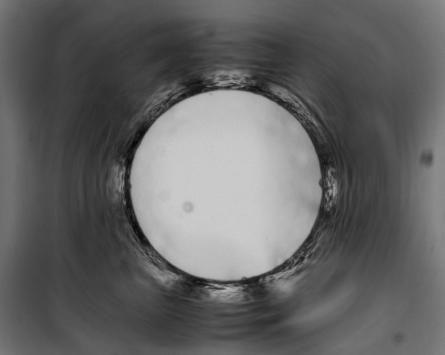 X0000099940667200806201122