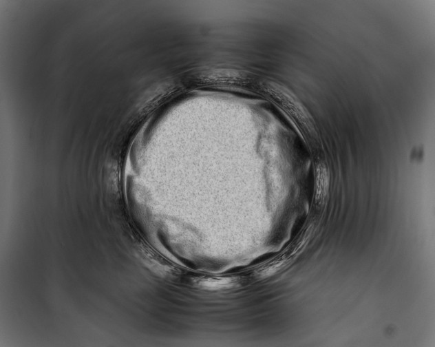 X0000099940669200806201122