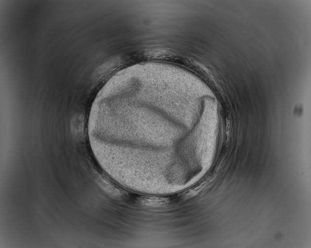 X0000099940670200806201122