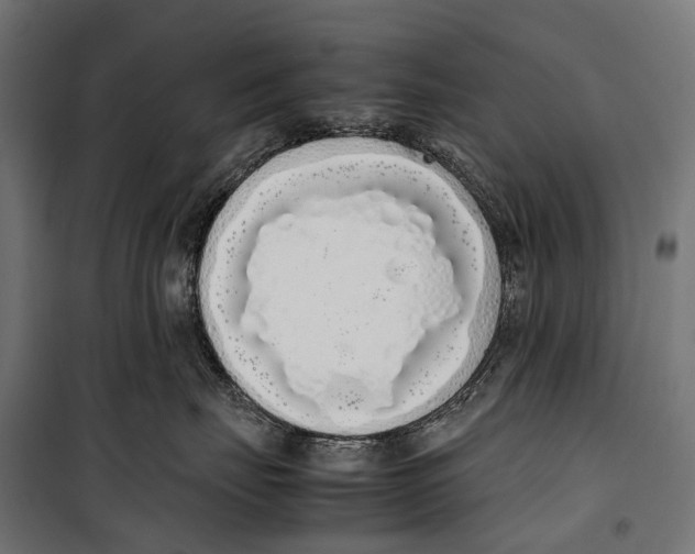 X0000099940671200806201122