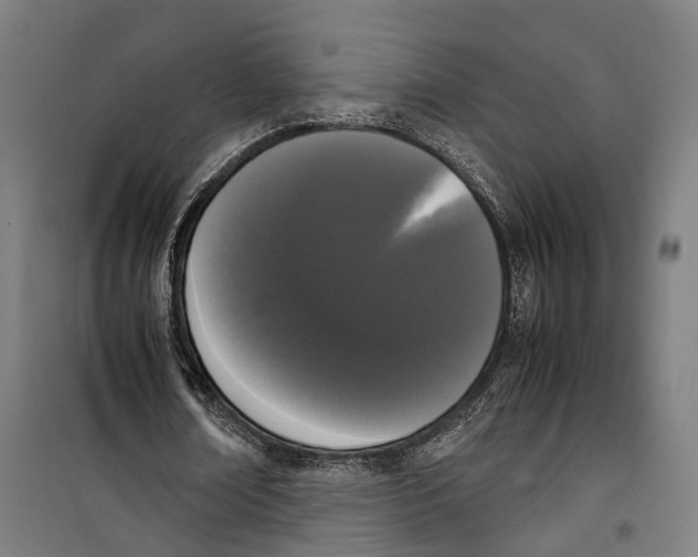 X0000099940674200806201121